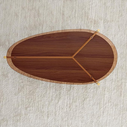 Oval Glass Coffee Table, Mid-Century Modern Design, L43 x W21 x H17 inch, for Living Room, 2-Tier Structure, Amber Glass Top, Walnut Finish Wood Shelf & Gold Finish Frame