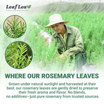Load image into Gallery viewer, LeafLea 80 Rosemary Leaf Tea Bags, 100% Pure Rosemary Herbal Tea, Gentle Digestive Comfort &amp; Relaxing, Te De Romero Featuring Subtle, Natural Flavor, Caffeine-Free, Sugar-Free, Non-GMO, Vegan