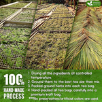 Load image into Gallery viewer, FreshDrinkUS, Premium 135 Tea Bags Tulsi Moringa Lemongrass, 100% Natural &amp; Pure from Tulsi Holy Basil Leaves, Moringa &amp; Lemongrass. Made with Natural Material Tea Bags. No Sugar, No Caffeine, Vegan.