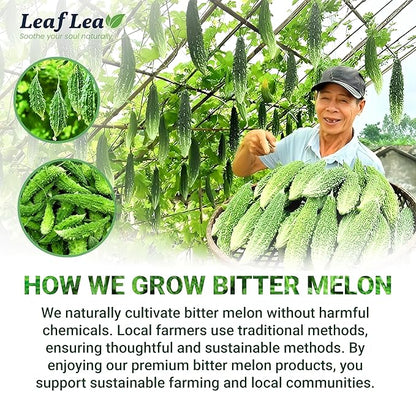 LeafLea 120 Bitter Melon Tea Bags, 100% Pure Bitter Melon Fruit. Supports Wellness and Digestion | Caffeine-Free, Sugar-Free, Vegan, Pack of 3