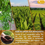 Load image into Gallery viewer, TOG999, Premium 20 Tea Bags Turmeric, Ginger, Cinnamon, 100% Natural, Hand-made Blend of Turmeric, Ginger, and Cinnamon Herbal Tea. Eco-conscious Tea Bags. No Sugar, No Caffeine, No Gluten, Vegan.