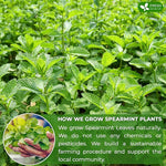 Load image into Gallery viewer, FreshDrinkUS, Premium 45 Spearmint Tea Bags, 100% Natural Spearmint Leaves. Loose Leaf Spearmint Herbal Tea. Spearmint Leaf Tea. No Sugar, No Caffeine, No Gluten, Vegan.