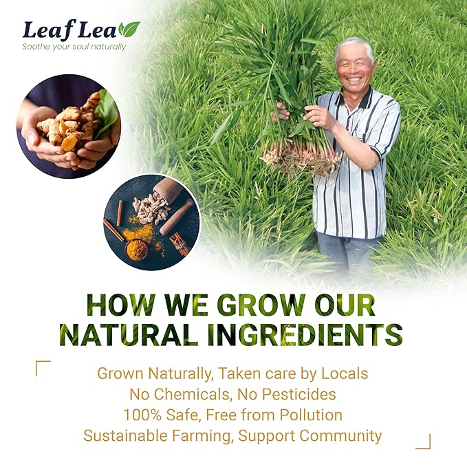 LeafLea 40 Turmeric Ginger Cinnamon Tea Bags, 100% Natural Ingredients Herbal Tea, Turmeric Ginger Herbal Blend for Wellness, Vegan, No Sugar, Caffeine-Free, Individually Wrapped for Freshness