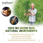 Load image into Gallery viewer, LeafLea Turmeric Tea with Ginger and Cinnamon, 80 Premium Turmeric Ginger Tea Bags, Supports Immune Health &amp; Digestion, 100% Natural &amp; Pure Blend Herbal Tea, Caffeine-Free, No Sugar, Vegan