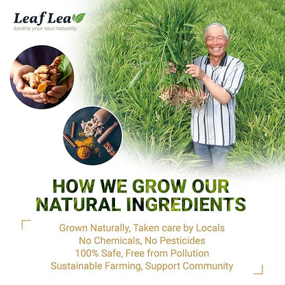 LeafLea 160 Ginger Turmeric Tea Bags, 100% Natural & Pure Herbal Tea Blend of Turmeric Ginger Tea with Cinnamon, Turmeric Tea Supports Digestion & Immunity, Caffeine-Free, No Sugar, Non-GMO