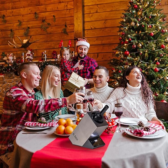 Electric Wine Chiller, Single Bottle Cooler for 750ml Wine or Some Champagne,Stainless Steel Iceless Cooler Keep Cold Up to 24h,Kitchen,Bar and RV Vino Accessory,Gift for Vino Lover