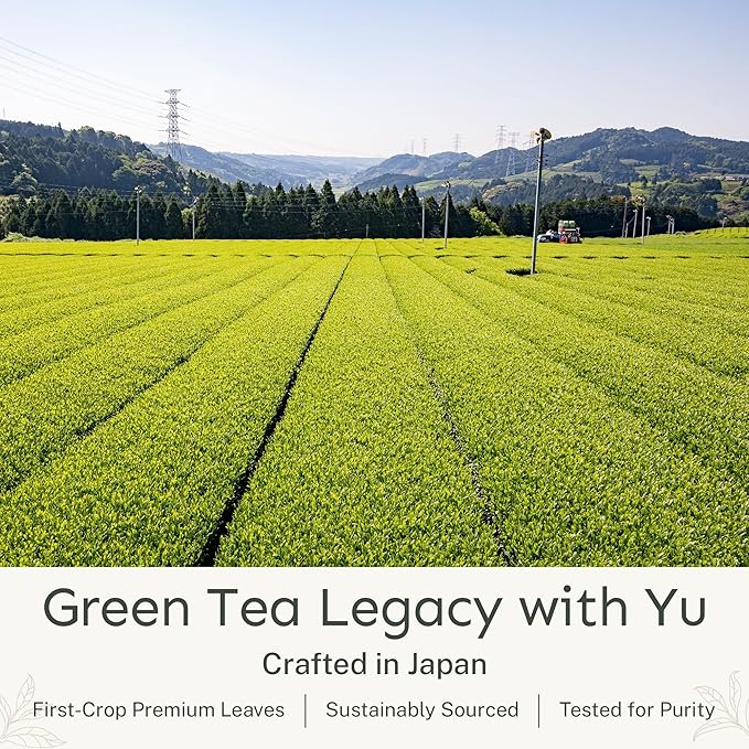 Yu Tea Decaf Organic Sencha Green Tea Powder, 100 Servings | Rich in Antioxidants, EGCG, & L-Theanine | Pure Japanese First Harvest Leaf | Caffeine-Free & Unsweetened | Resealable Pouch, 2.65 oz