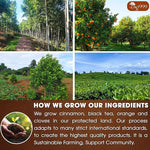 Load image into Gallery viewer, 60 Hot Special Cinnamon Tea Bags – Special Blend of Cinnamon, Black Tea, Orange Peel and Cloves, 100% Natural Ingredients, Hand-made Blend Herbal Tea. Eco-conscious Tea Bags. No Sugar, No Caffeine, No Gluten, Vegan.