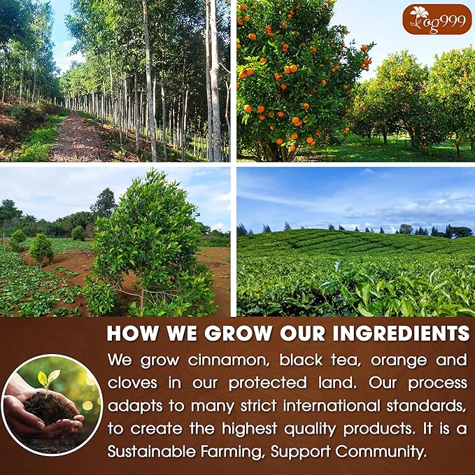 60 Hot Special Cinnamon Tea Bags – Special Blend of Cinnamon, Black Tea, Orange Peel and Cloves, 100% Natural Ingredients, Hand-made Blend Herbal Tea. Eco-conscious Tea Bags. No Sugar, No Caffeine, No Gluten, Vegan.