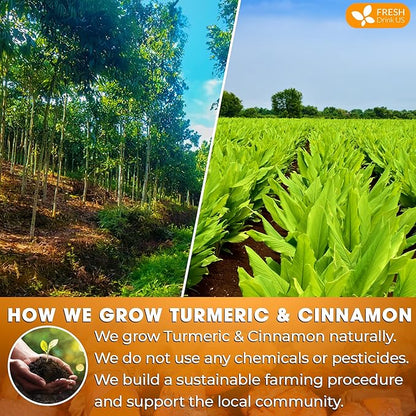 FreshDrinkUS, Premium 75 Turmeric Cinnamon Tea Bags, 100% Natural, Blend of Turmeric, and Cinnamon. Made with Natural Material Tea Bags. No Sugar. No Caffeine. Vegan.