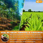 Load image into Gallery viewer, FreshDrinkUS, Premium 135 Turmeric Cinnamon Tea Bags, 100% Natural, Blend of Turmeric, and Cinnamon. Made with Natural Material Tea Bags. No Sugar. No Caffeine. Vegan.