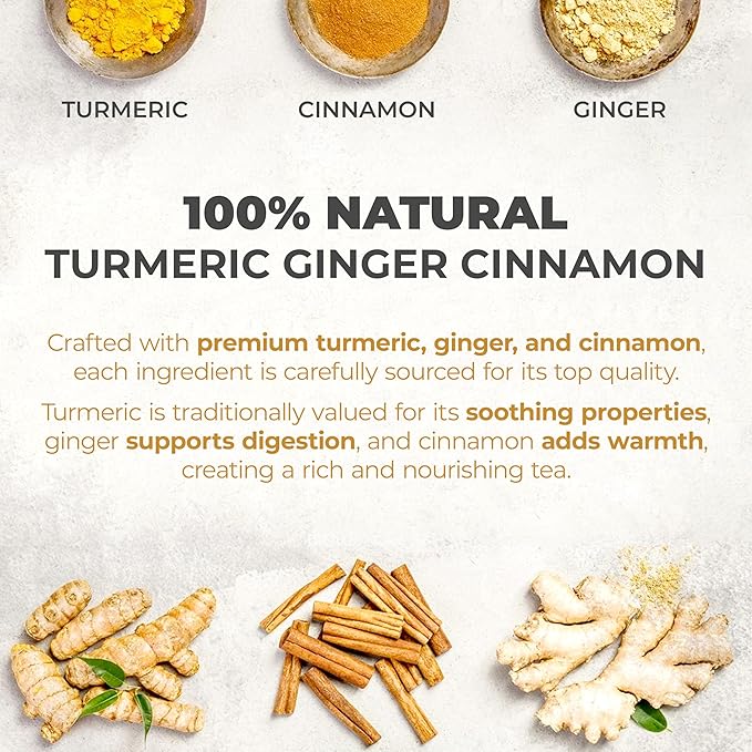 LeafLea 240 Turmeric Ginger Tea Bags, 100% Natural Herbal Blend with Cinnamon, Supports Digestion and Immune Health, Warm and Spicy Flavor, Sugar-Free, Caffeine-Free, Non-GMO, Pack of 6