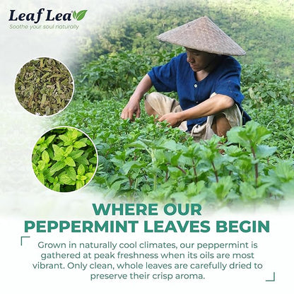 LeafLea 40 Peppermint Tea Bags, Natural Peppermint Leaf Herbal Tea with Cool Taste, Te De Menta for Gentle Digestive Support, Te De Hierba Buena, Caffeine-Free, Sugar-Free, Vegan, Individually Wrapped
