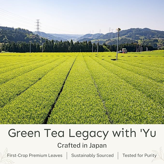 Yu Tea Organic Decaf Matcha Powder Ceremonial Grade, 50 Servings | Rich in Antioxidants & L-Theanine, Low Caffeine | Unsweetened Grade A Japanese Green Tea Powder | Resealable Pouch, 2.65 oz