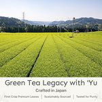 Load image into Gallery viewer, Yu Tea Organic Decaf Matcha Powder Ceremonial Grade, 50 Servings | Rich in Antioxidants &amp; L-Theanine, Low Caffeine | Unsweetened Grade A Japanese Green Tea Powder | Resealable Pouch, 2.65 oz