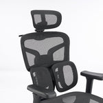 Load image into Gallery viewer, High-Back Ergonomic Mesh Office Chair, Modern Executive Desk Chair with 4D Armrests Computer Task Chair (Black Mesh Dual Lumbar Support)
