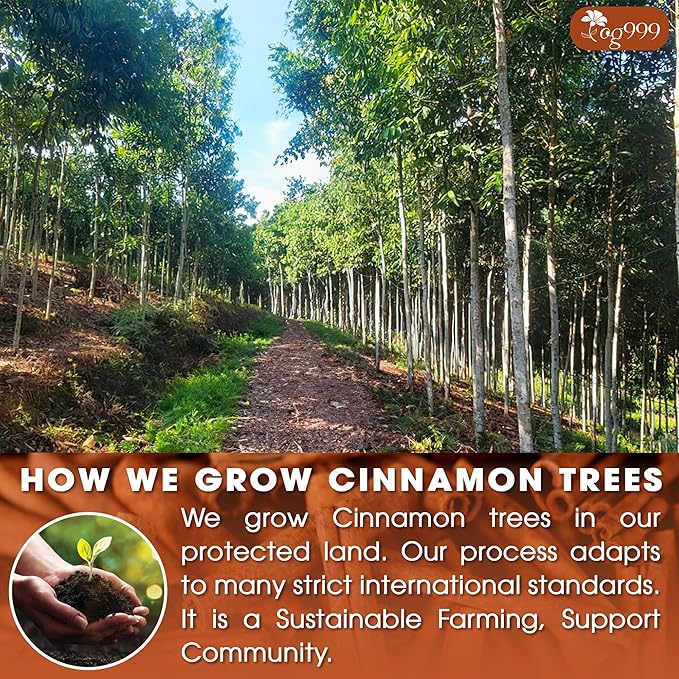 TOG999, Premium 20 Cinnamon Tea Bags, 100% Natural & Pure. Cinnamon Herbal Tea. No Sugar, No Caffeine, No Gluten, Vegan.