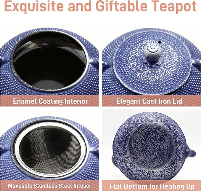 Cast Iron Teapot Tea Kettle with Stainless Steel Infuser for Stovetop Safe Coated with Enameled Interior Japanese Dark Blue Tetsubin for Loose Tea(30.4oz/900ml)