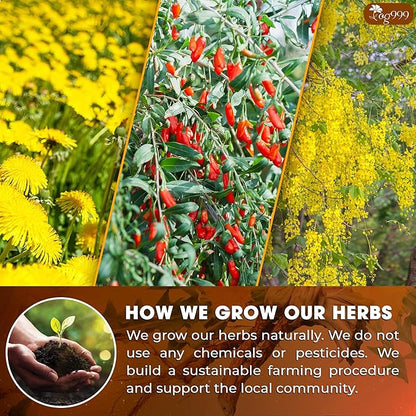 TOG999, Organic Dandelion Wolfberry Tea, 9 Herbal Ingredients, Traditional Recipe Tea for Kidney & Liver, Natural Dandelion, Wolfberry, Gardenia, Cassia Seed, Chrysanthemum, Licorice, Orange Peel