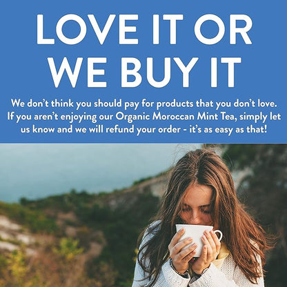 FGO Organic Moroccan Mint Green Tea, 100 Count, Eco-Conscious Tea Bags, Resealable Bag, Packaging May Vary (Pack of 1)