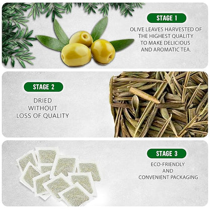 Olive Leaf Tea Bags – 200 Bags (Premium Dried Olive Leaf Tea - 200 Count), Natural Extract Caffeine-Free Herbal Tea for Health & Immune Support