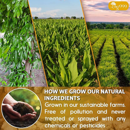 120 Bags Premium Turmeric Ginger Cinnamon Tea, Improve Digestion, Support Brain, Weight, Skin and Sleep, Eco-Conscious Tea Bags and Premium Natural Ingredients. Turmeric Ginger Herbal Tea. No Sugar, No Caffeine, No Gluten, Vegan.