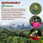 Load image into Gallery viewer, Low Acid Organic Coffee – Whole Bean, Mold-Free &amp; Stomach Friendly by Java Planet, Sumatran Single Origin Decaf Coffee, Dark Roast, Smooth Full Flavored, 5LB Bag