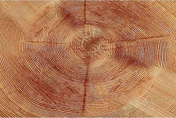 2-Piece Modern Farmhouse Living Room Coffee Table Set, Nesting Table Round Natural Finish with Handcrafted Wood Ring Motif, Light Red + Wood Color