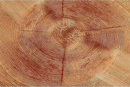 2-Piece Modern Farmhouse Living Room Coffee Table Set, Nesting Table Round Natural Finish with Handcrafted Wood Ring Motif, Light Red + Wood Color