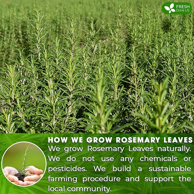 FreshDrinkUS, Premium 40 Rosemary Leaf Tea Bags, 100% Natural and Pure Rosemary Dried Leaves, Pure Herbal Tea, No Additives, No Caffeine, No Gluten, Vegan.