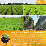 Load image into Gallery viewer, 20 Tea Bags - Anti-Inflammaherb Loose Leaf Tea, 100% Natural from Ginger, Turmeric, Peppermint, Black Pepper, Cinnamon. No Sugar, No Caffeine, No Gluten, Vegan