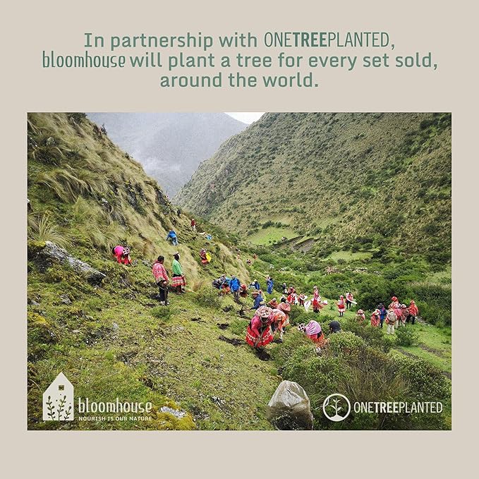 Bloomhouse - Two Time Oprah's Favorite Things Winner - Corsica Clay 4-Piece Mug Set – Burnt Apricot Terracotta Stoneware Coffee & Tea Cups, Durable Ceramic Drinkware