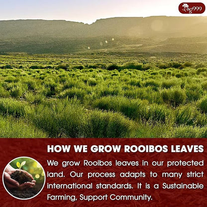 TOG999, 135 Premium Red Rooibos Tea Bags, 100% Natural & Pure from Rooibos Tea Leaves. Loose Leaf Rooibos Herbal Tea. Made with Natural Material Tea Bags. No Sugar, No Caffeine, No Gluten, Vegan.