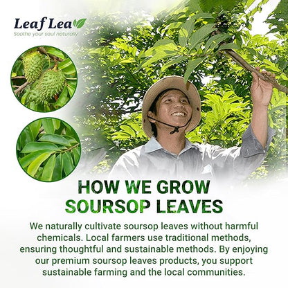 LeafLea 120 Soursop Tea Bags, from 100% Natural Pure Soursop Graviola Leaves, Improve Digestion, Support Healthy Skin & Sleep, Herbal Tea Caffeine-free, Hojas De Guanabana Tea, Non-GMO, Pack of 3