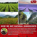 Load image into Gallery viewer, TOG999, Upgraded Pressure Balance Herbal Tea - 80 Tea Bags | Heart Functional Tea | Blend of 9 Natural Herbs | Caffeine-Free, Sugar-Free, Vegan-Friendly