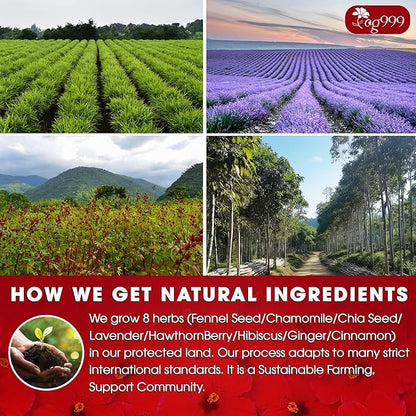 TOG999, Upgraded Pressure Balance Herbal Tea - 80 Tea Bags | Heart Functional Tea | Blend of 9 Natural Herbs | Caffeine-Free, Sugar-Free, Vegan-Friendly