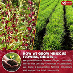 Load image into Gallery viewer, FreshDrinkUS, 60 Tea Bags Super Hibiscus Heart Blend– Herbal Tea with Hibiscus Flower, Ginger, Cinnamon Stick, Lemongrass &amp; Rose Hip – Naturally Caffeine-Free, Sugar-Free, Vegan