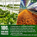 Load image into Gallery viewer, FreshDrinkUS, Premium 25 Tea Bags Soursop Turmeric, 100% Natural, Blend of Soursop Leaves, and Turmeric Root. Made with Natural Material Tea Bags. No Sugar, Vegan.