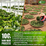 Load image into Gallery viewer, FreshDrinkUS, Premium 75 Tea Bags Soursop Green Tea, 100% Natural &amp; Proprietary Blend from Soursop Leaves and Green Tea. Smooth Flavor. Made with Eco-Conscious Tea Bags. No Additives No Sugar, Vegan.