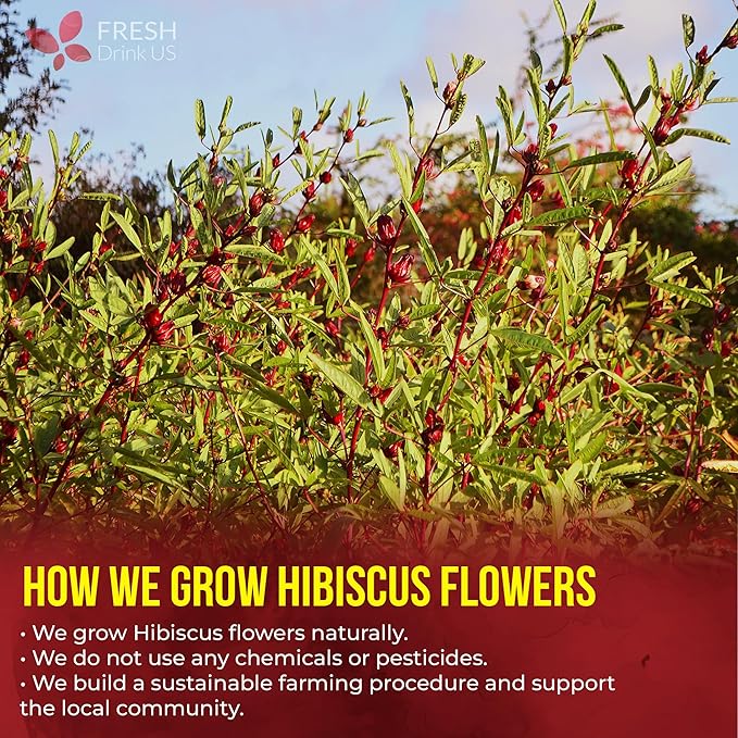 FreshDrinkUS, Premium 140 Hibiscus Flowers Tea Bags, 100% Natural, Handmade & Pure from Hibiscus Flowers. No Sugar/Caffeine/Gluten, Vegan. Tart & Refreshing, Hot or Ice Tea, Great For All Seasons