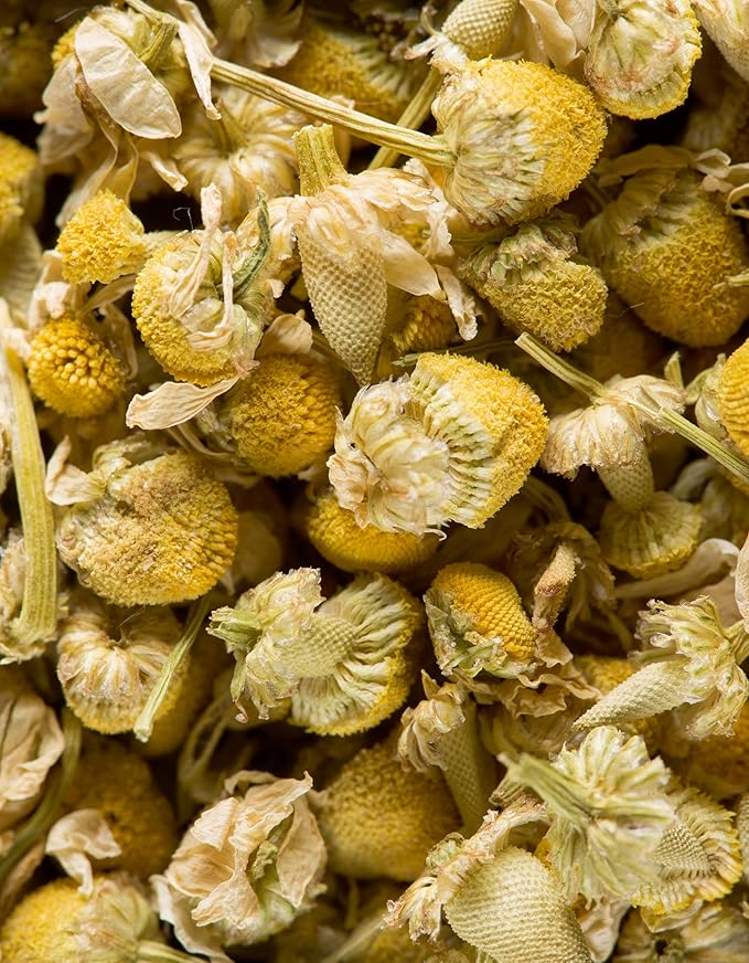 Dammann Freres Sachets, Chamomile Tea Bags, Premium Gourmet French Herbal Tea, Indiviudally Wrapped, 21 Count (Single Pack)