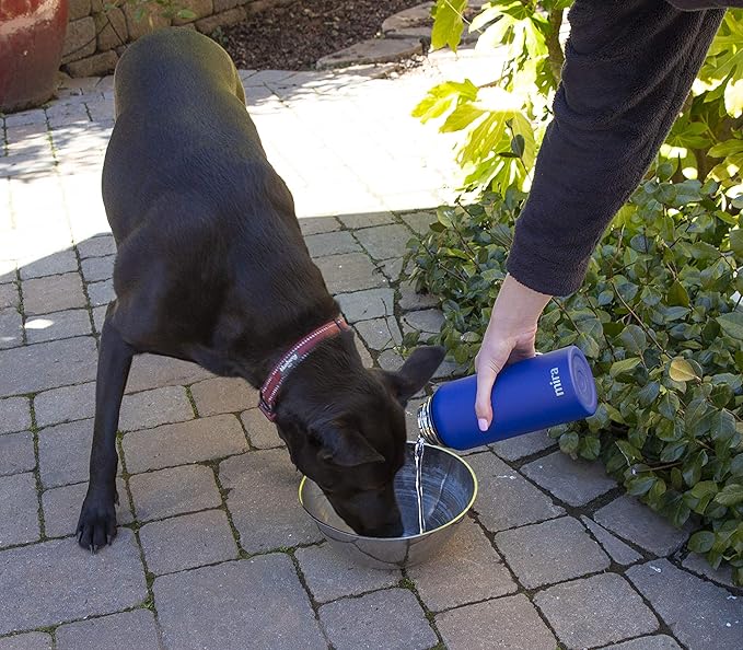 MIRA 40 oz Insulated Water Bottle - Stainless Steel Sports Flask with 2 Lids (Straw & Handle) - Cold Drink Thermo - Teal