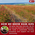 Load image into Gallery viewer, FreshDrinkUS, Premium 135 Rosehip Tea Bags, 100% Natural &amp; Pure from Rose Hip Fruits. Loose Rosehip Herbal Tea. Made with Natural Material Tea Bags. No Sugar, No Caffeine, No Gluten, Vegan.