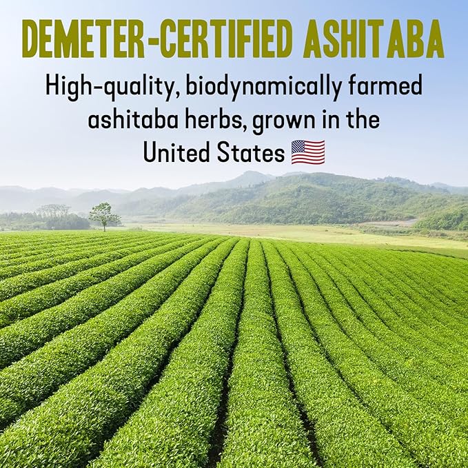 High‑Polyphenol Ashitaba Tea Blend – Demeter Certified Biodynamic U.S. Organic Ashitaba,Sencha Green Tea, with Elderberry & Olive Leaf – 20 Compostable Bags – Perfect for Detox, Metabolic Support