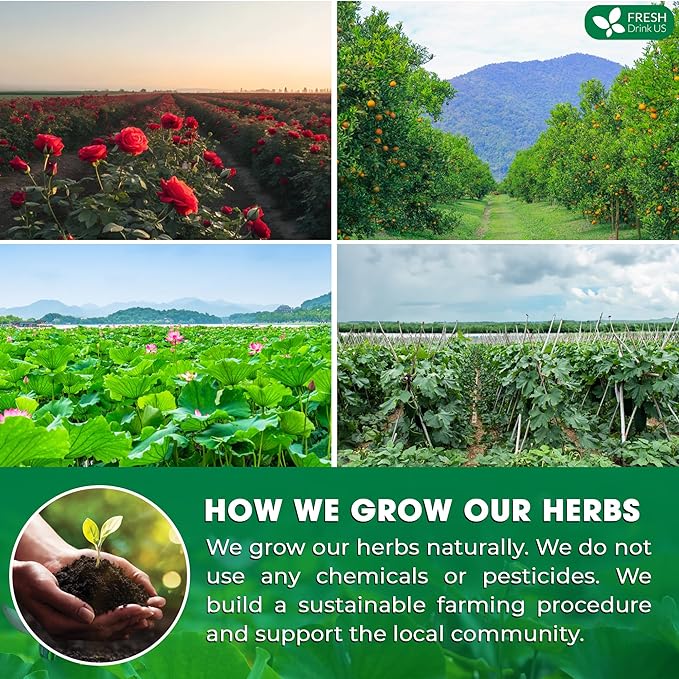 FRESHDRINKUS, 30 Packs of Oil Reducing Tea, Oil Cleansing for Liver, 10 Herbal Ingredients, Traditional Recipe Tea for Liver, 100% Natural, Easy Brewing, Steep Repeatedly (30 Packs)