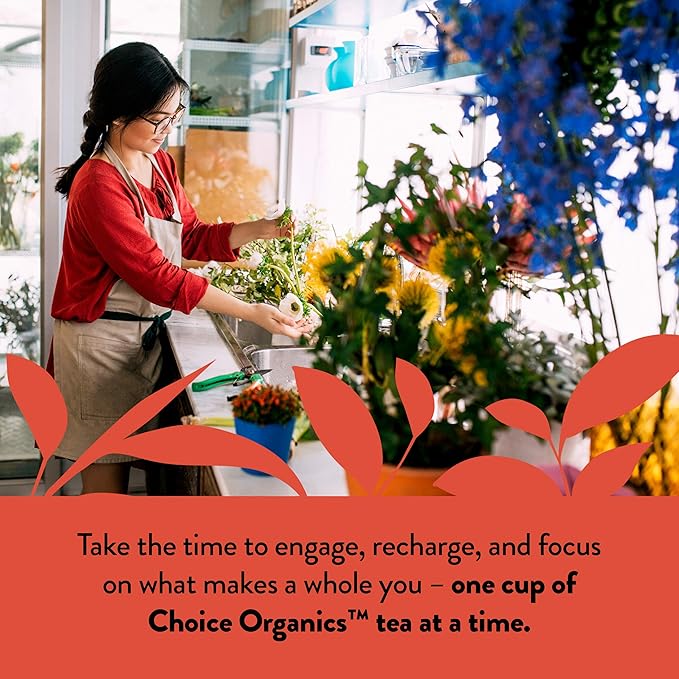 Choice Organic Teas Rooibos Tea - Fair Trade - Compostable - Caffeine Free - 48 Organic Herbal Tea Bags (Pack of 3)