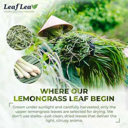 LeafLea 80 Premium Lemongrass Tea Bags, Natural Herbal Lemongrass Leaves, Te de Limoncillo for Digestion Support, Light & Soothing Taste, Caffeine-Free, Sugar-Free, Vegan, Individually Wrapped