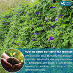 Load image into Gallery viewer, FreshDrinkUS, Premium 8oz Blue Butterfly Pea Flowers Dried – Premium Whole Flower Herbal Tea – Vibrant Blue Natural Color – Caffeine-Free Loose Flower Tea. Vegan