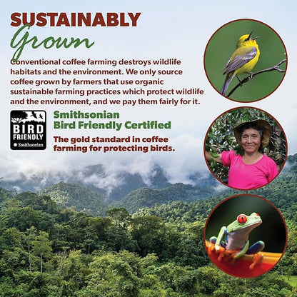 Low Acid Organic Coffee – Whole Bean, Mold-Free & Stomach Friendly by Java Planet, Peruvian Single Origin Coffee, Medium Dark Roast, Smooth Full Flavored, 5LB Bag