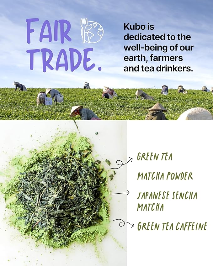 Kubo Tea Japanese Sencha Matcha Tea - Organic High Caffeine Energy Blend w/ Matcha Powder - 20 Pillow Tea Bags (140mg Caffeine each) - Coffee Substitute for Hot & Iced Drinks, Biodegradable & Compostable Packaging
